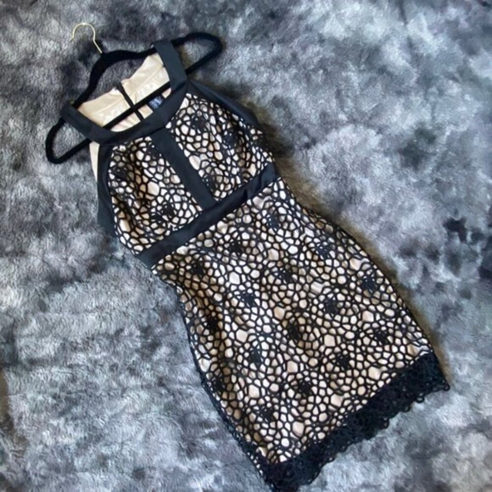 JAX Lace Mini Dress
